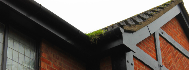 Fascia and soffit cleans in SW London & Surrey - free competitive quotes